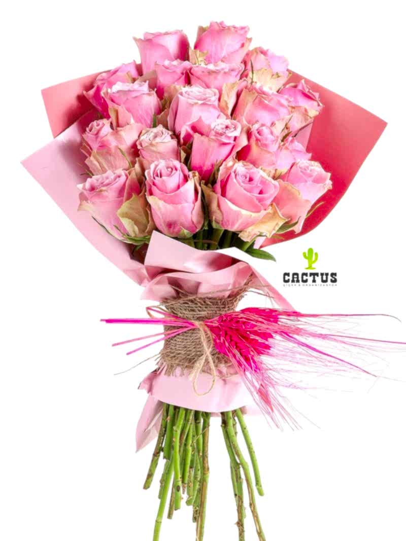 Premium Pink Rose